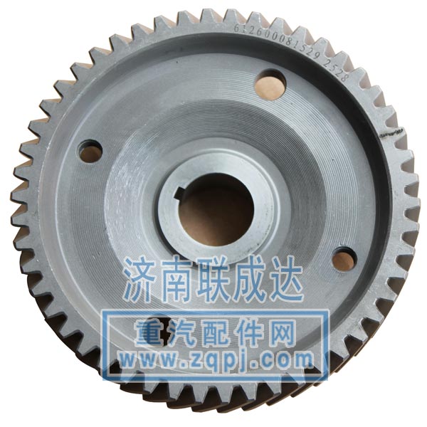 噴油泵齒輪612600080675